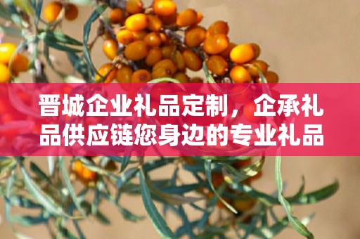 晋城企业礼品定制，企承礼品供应链您身边的专业礼品定制公司