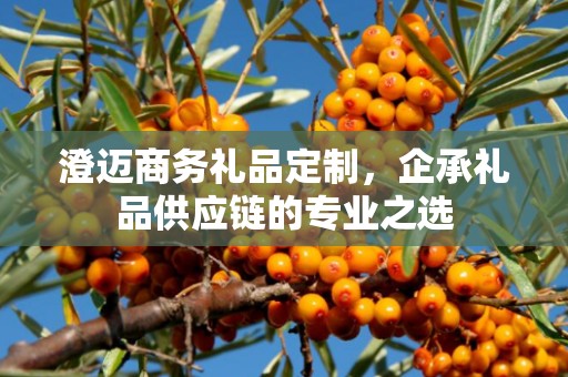 澄迈商务礼品定制，企承礼品供应链的专业之选